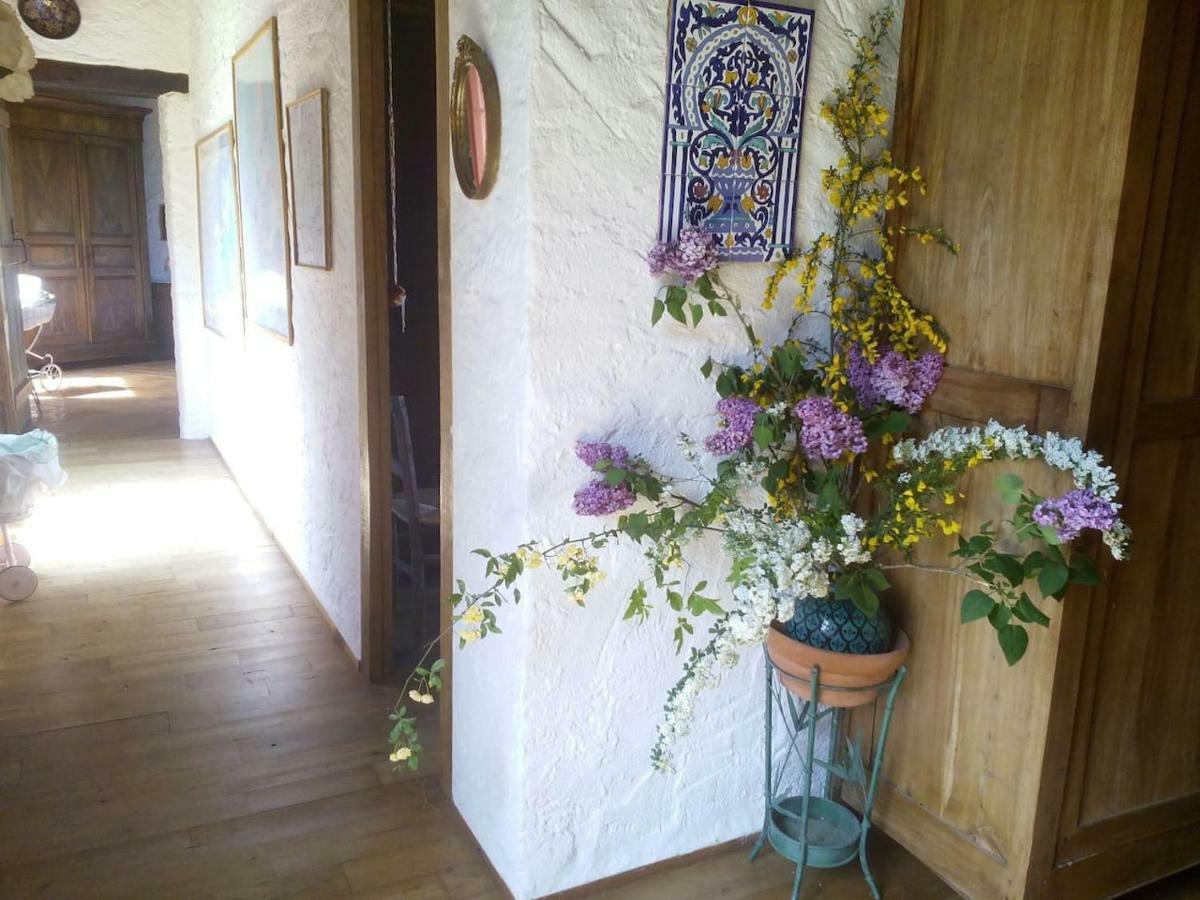 Touvent Maison Au Milieu Des Bois Savignac-de-Miremont 外观 照片